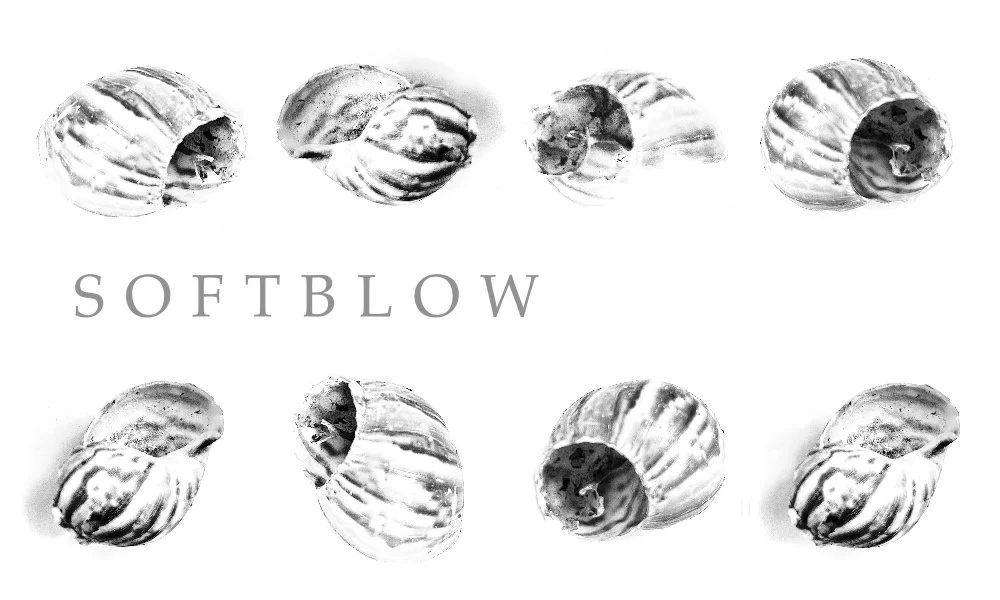 4 Poems from SOFTBLOW — published in SOFTBLOW