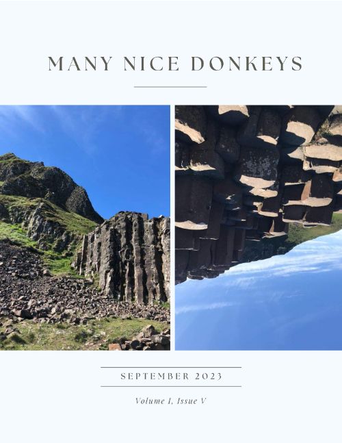Poem with Many Things on Fire — published in Many Nice Donkeys
