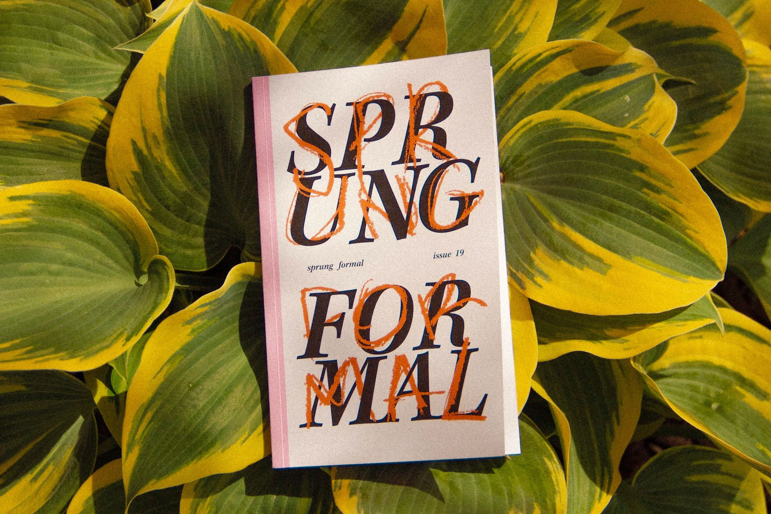 from Poem of Thanks III — published in Sprung Formal